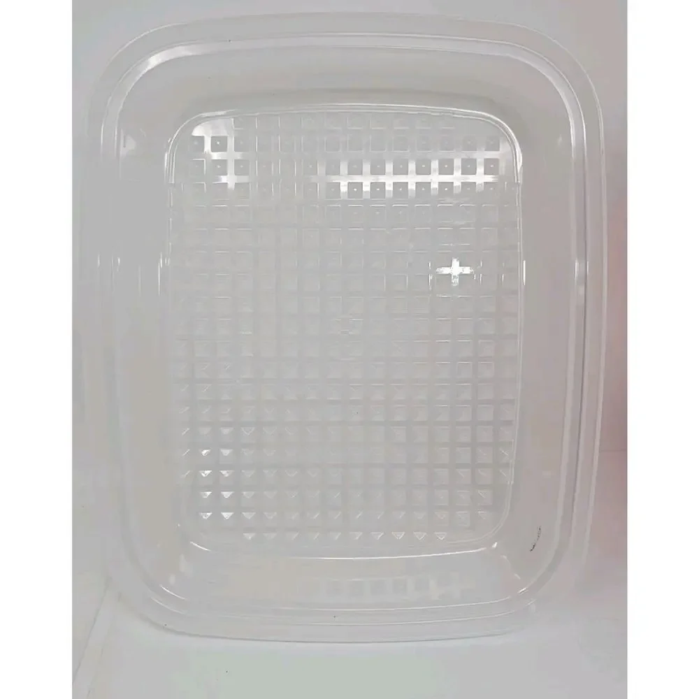 Tupperware #1294 Lg Marinade Meat Tenderizer Keeper Container Red & Sheer U143
